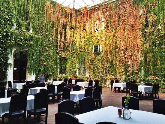 Zamek Joannitow restauracja