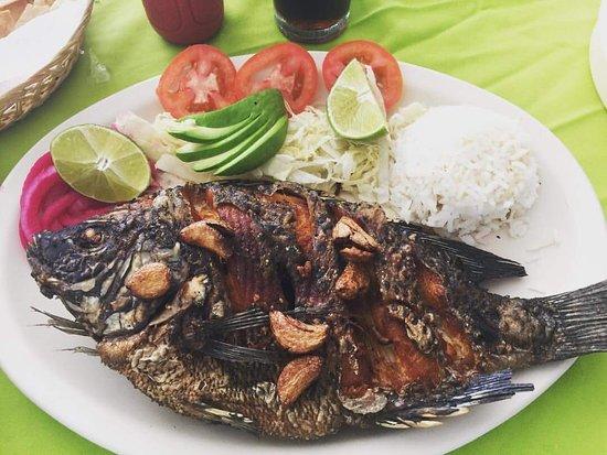 La Lupita de Nicolás Ceviche