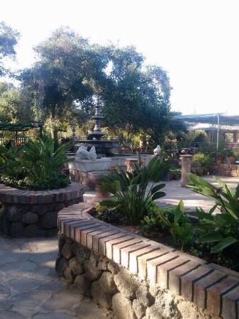 Restaurante y Vivero la Hacienda