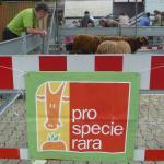 Hostellerie D'Herock