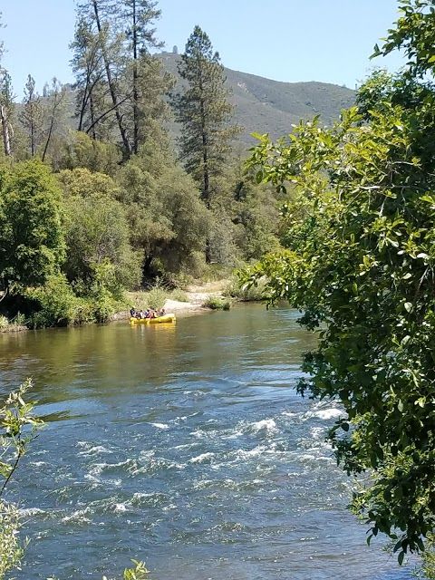 Henningsen Lotus Park