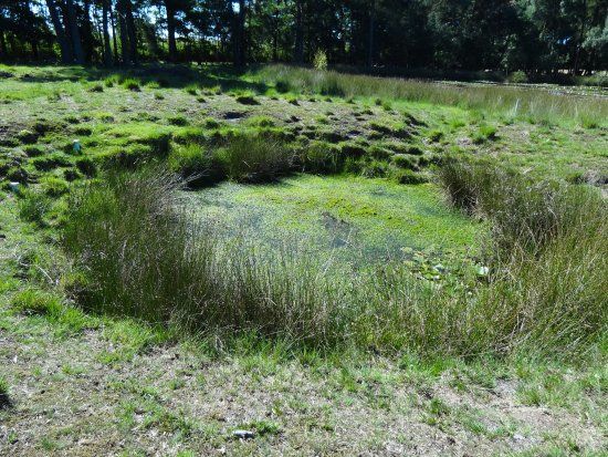 LWL-Museum für Naturkunde