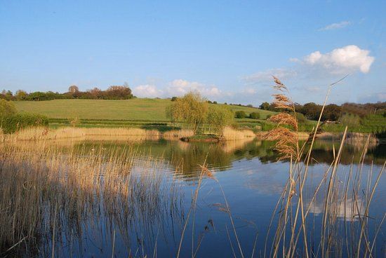 Picks Cottage Fishery Ltd