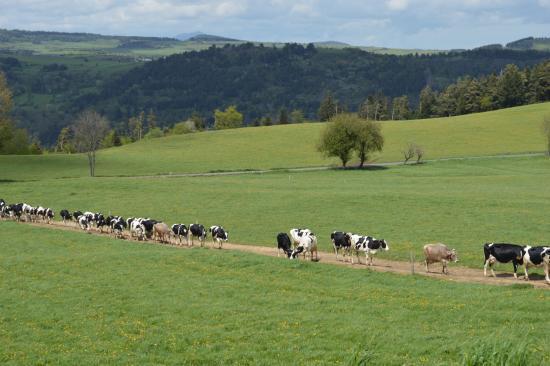 Ferme Gaec de l'Oiseau