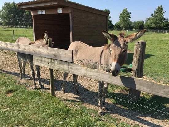 Ferme de la Bonne Dame