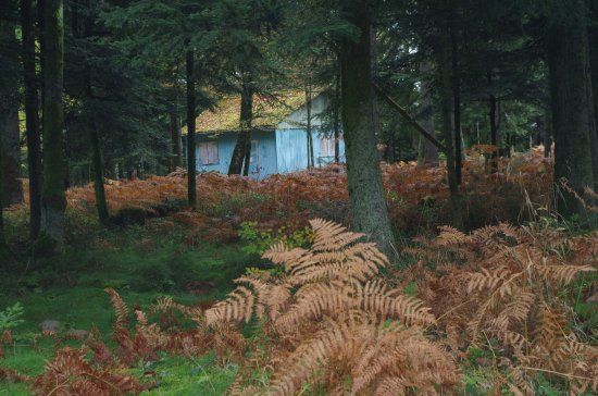 Camp Celtique la Bure