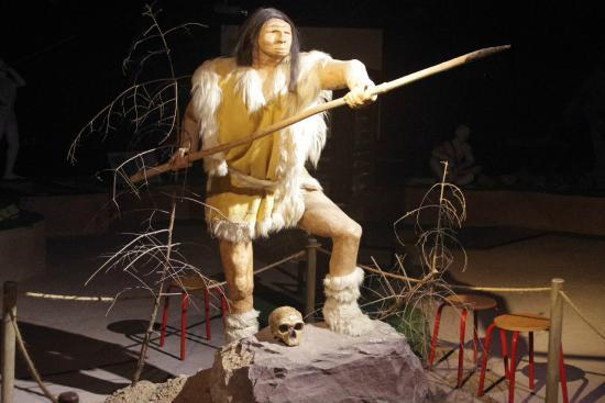 Centre D'activite de la Prehistoire