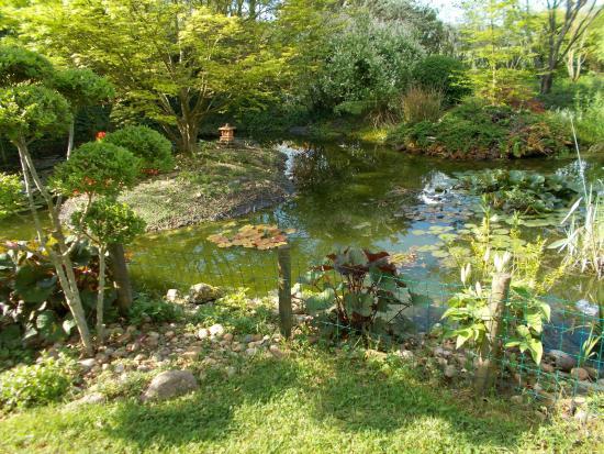 Le Jardin de Saint Avit