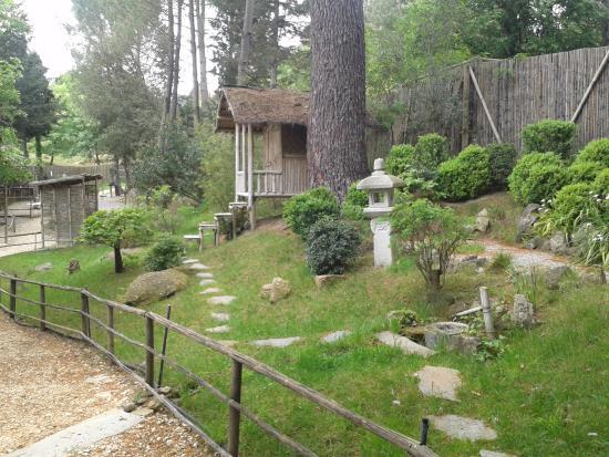 Jardin Arboretum Bonsai