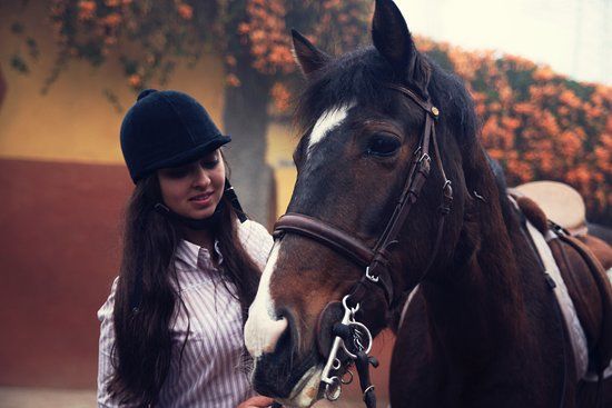 Centro Ecuestre San Mateo