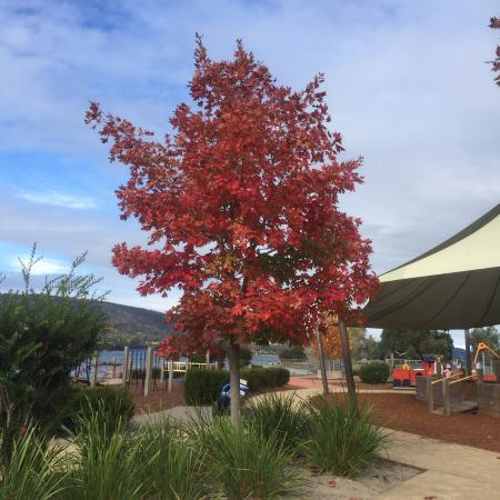 Dru Point Bicentennial Park