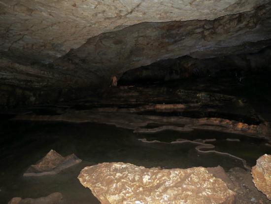 Vjetrenica Cave