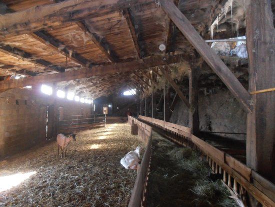 La Ferme des Cévennes