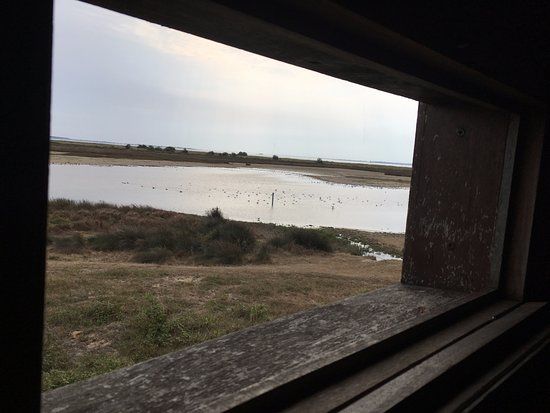 Réserve Naturelle du Marais d'Yves