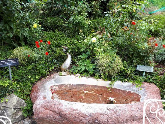 Rapperswil Rose Gardens