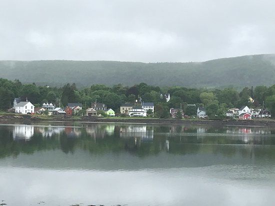 Tripp's Gallery and Tripp's Handmade