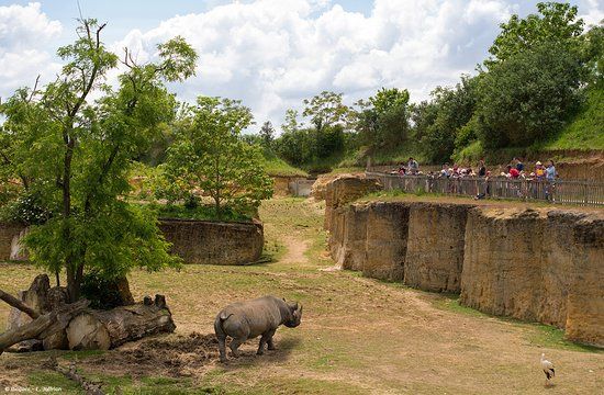 Bioparc De Doué La Fontaine