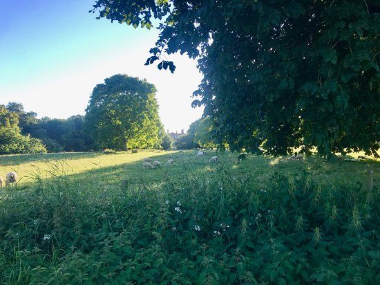 Buntingsdale Hall Bridge