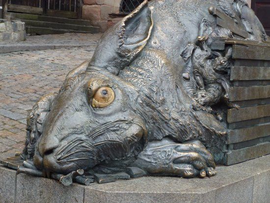 Hase - Hommage an Dürer