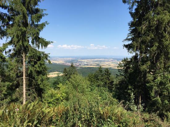 Förderverein Hausbergturm