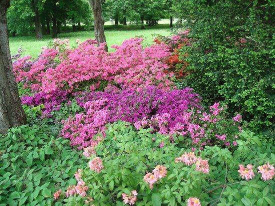 Spreeauenpark Cottbus