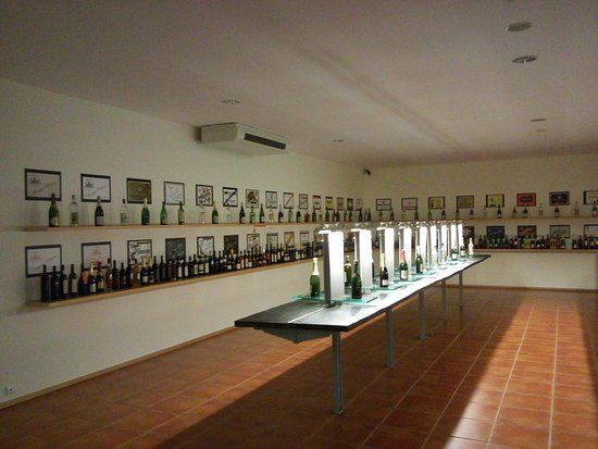 Bairrada Wine Museum