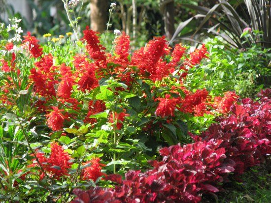 Stadtpark von Funchal