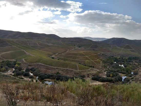 Parque Arqueologico do Vale do Coa