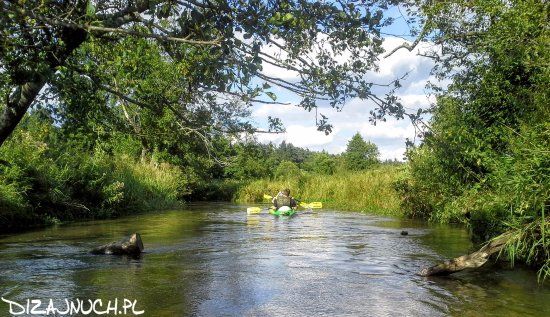 Roztoczański Park Narodowy
