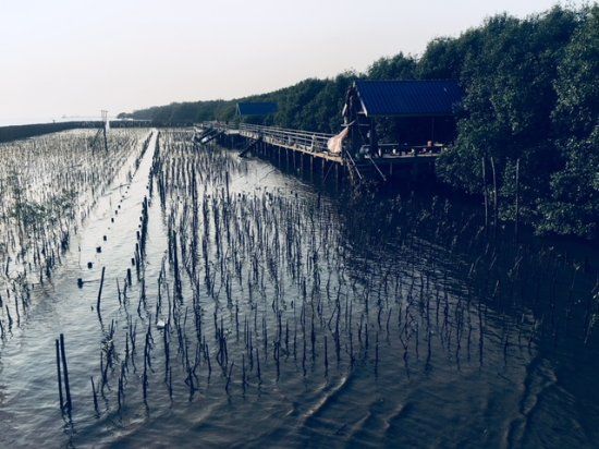 Bangpu Nature Education Center