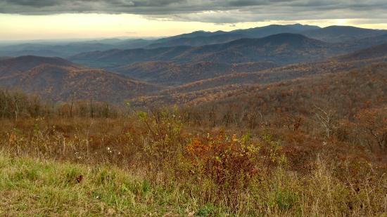 Elkwallow Picnic Area
