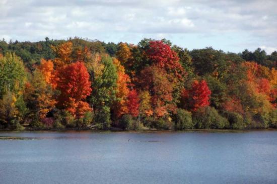 Ooms Conservation Area at Sutherland Pond