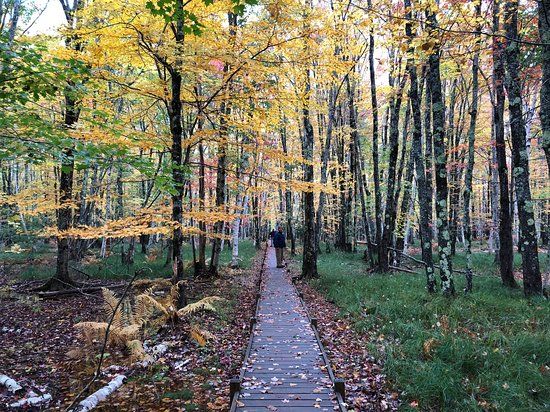 Sieur de Monts Spring