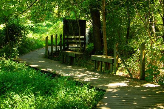 Beaver Lake Bird Sanctuary