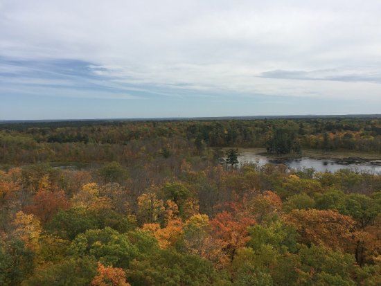 Aiton Heights Fire Tower