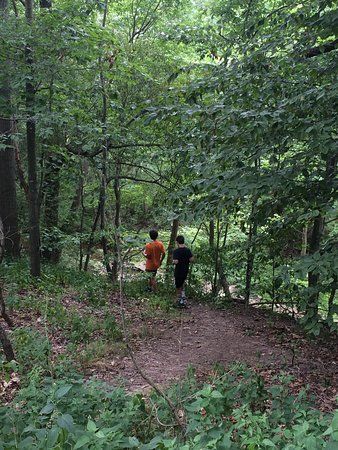 Norristown Farm Park