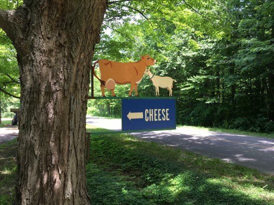 Evergreen Lane Farm & Creamery