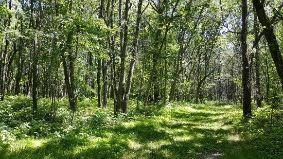 Standing Rocks County Park