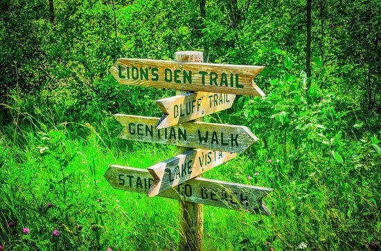 Lion's Den Gorge Nature Preserve