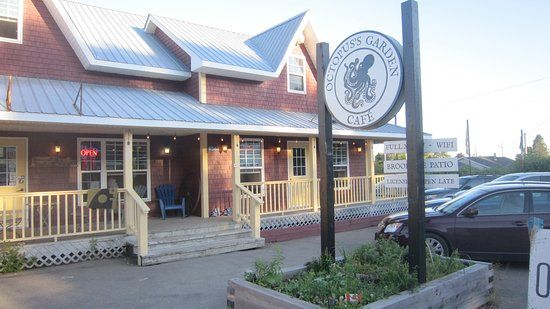 An Octopus' Garden Cafe