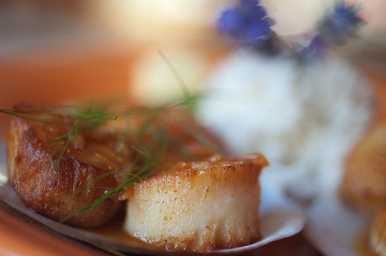 Charlotte Lane Cafe & Crafts