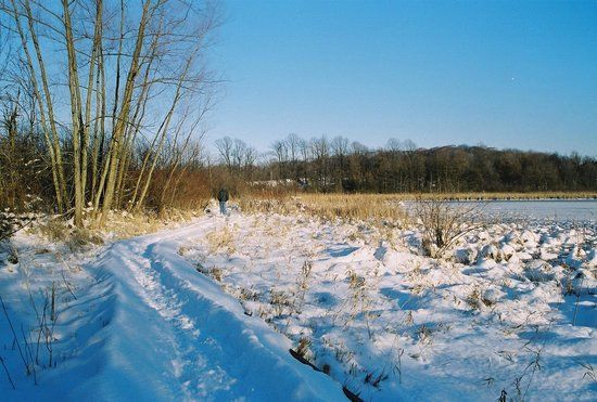 Herrick Fen Nature Preserve