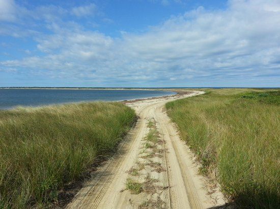 Cape Poge Wildlife Refuge
