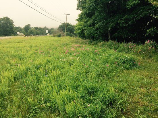 Battle of Cloyd's Mountain