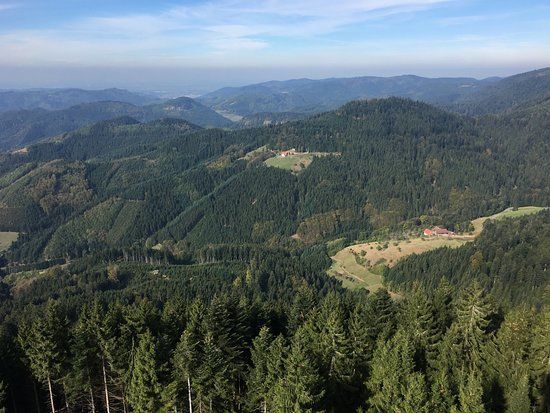 Buchkopfturm Oppenau-Maisach