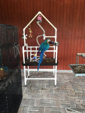 East Coast Exotic Animal Rescue