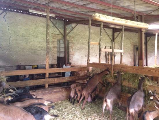 Fromagerie de la Belle Fontaine