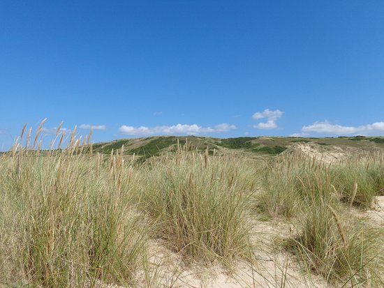 Dunes D'Hatainville