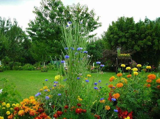 Jardin Floral du Château de Digeon