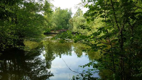 Ponds Fouchy